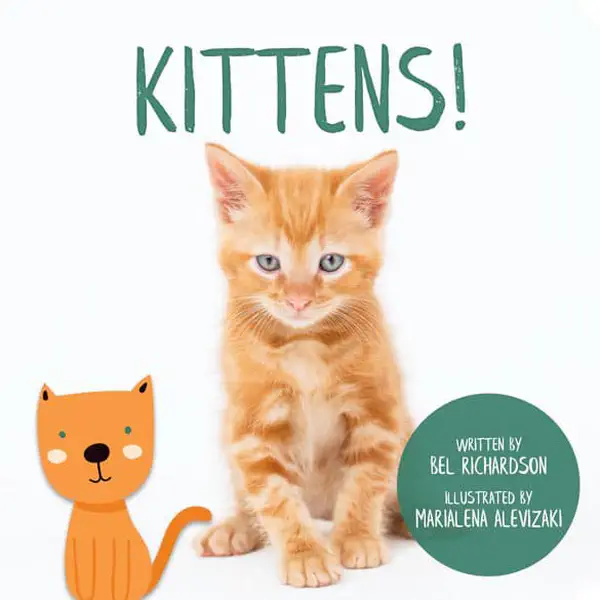 Animal Decodable Reader with ai & ay Words | Kittens!