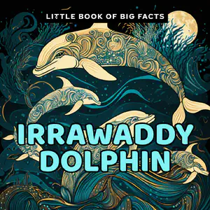 Decodable Reader with sh Words | Irrawaddy Dolphin Facts