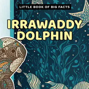 Nonfiction Decodable Reader with ea Words | Irrawaddy Dolphin