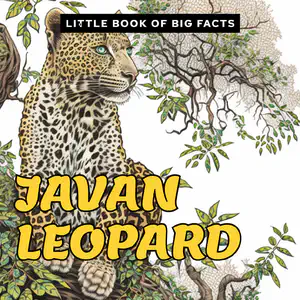 Nonfiction Decodable Reader with ee Words | Javan Leopard