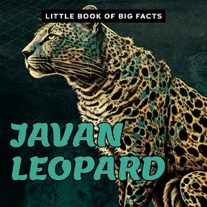 Animal Decodable Reader with th Digraph | Javan Leopard