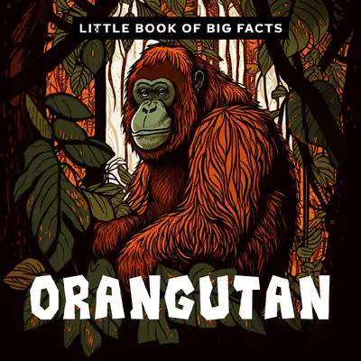 Nonfiction Decodable Reader with 3+ Syllables | Orangutan