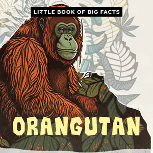 Decodable Reader with th Words | Little Book of Big Facts: Orangutan