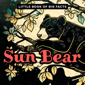 Decodable Reader with Suffixes | Little Book of Big Facts: Sun Bear
