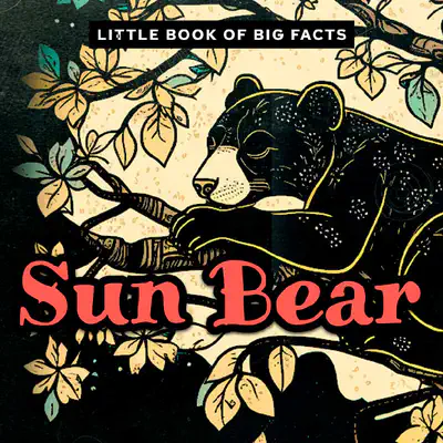 Decodable Reader with Suffixes | Little Book of Big Facts: Sun Bear