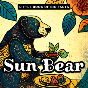 Nonfiction Decodable Reader with 'th' | Sun Bear Facts