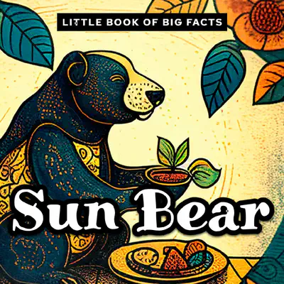 Nonfiction Decodable Reader with 'th' | Sun Bear Facts