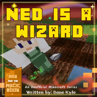 Fantasy Decodable Reader with wh Digraph | Ned is a Wizard