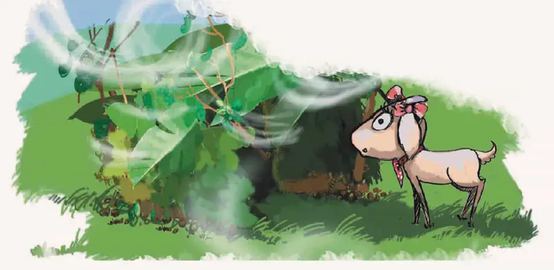 Worried goat with pink bow watching as strong wind blows her leaf shelter apart on grassy hillside