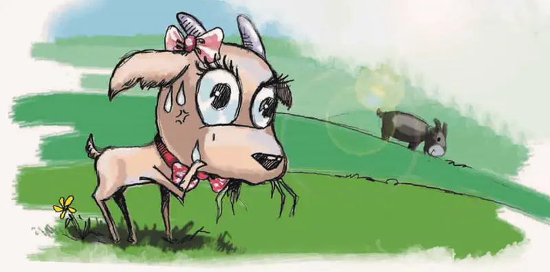 Sweating goat with pink bow and red collar standing in hot sun on green hillside with donkey behind