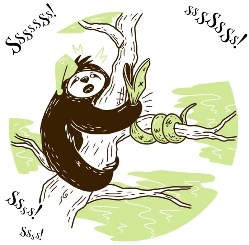 Startled sloth encountering green snake wrapped around branch hissing at it