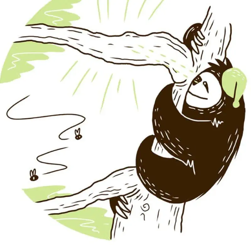 Happy sloth finding perfect spot high on branch with butterflies below