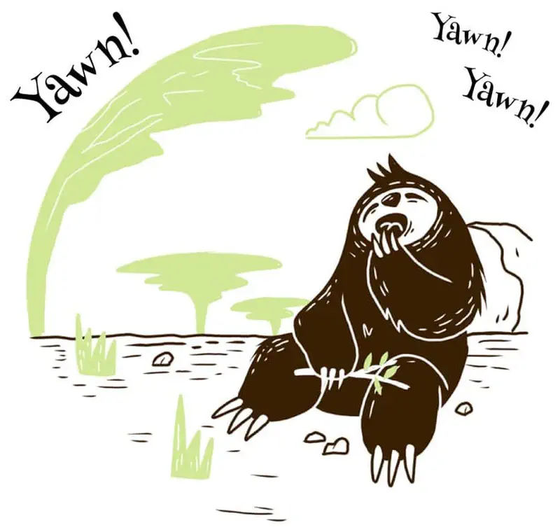 Sleepy brown sloth yawning while sitting on ground with trees in background