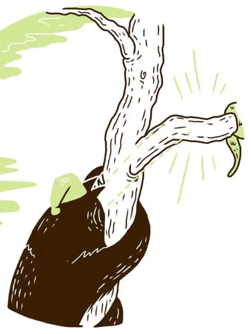 Sloth looking at glowing branch that seems like the perfect napping spot