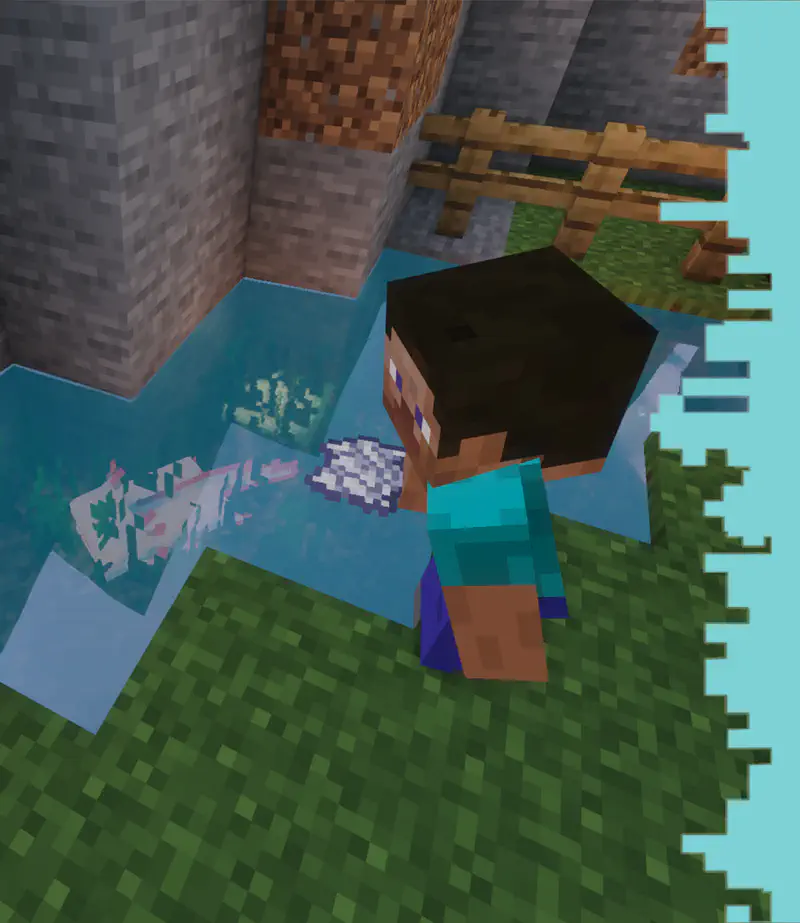 Minecraft Steve watching axolotl in pool near wooden bridge