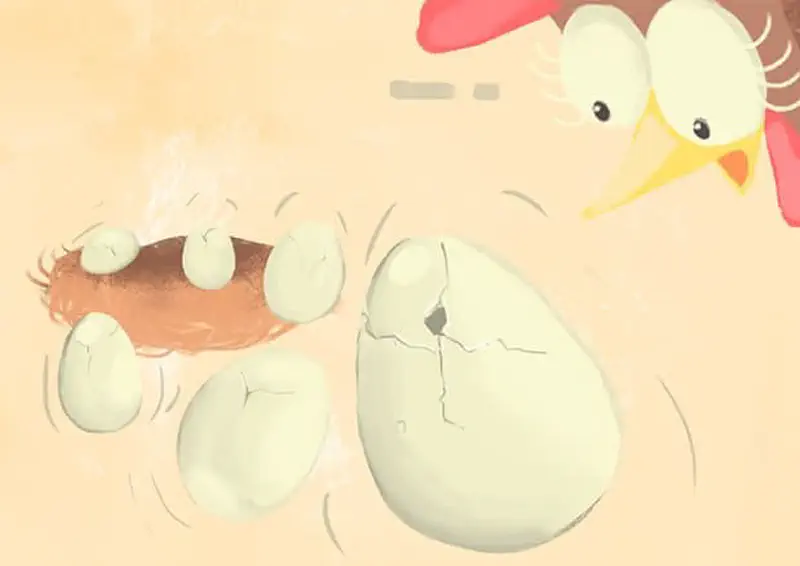 Excited hen watching eggs bouncing out of nest as one large egg shows cracks