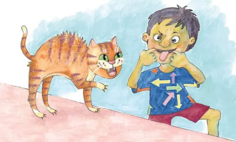 Angry orange cat with arched back hissing at boy making silly face on pink wall