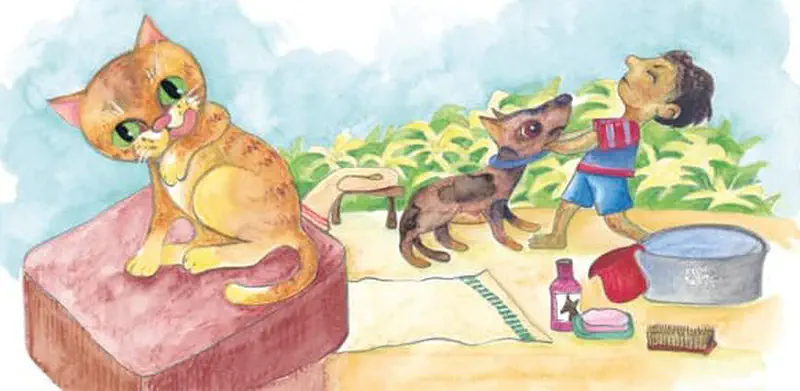 Orange cat grooming itself on pink cushion while boy gives brown dog a bath