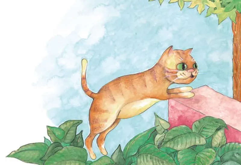 Orange striped cat jumping over green bushes toward pink roof with tree above
