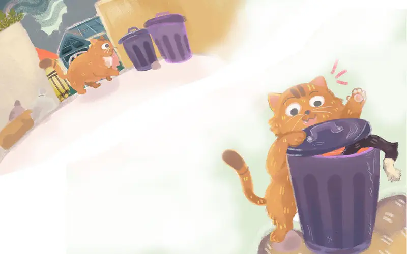 Orange cat waving finding black cat sleeping in purple trash can in alley