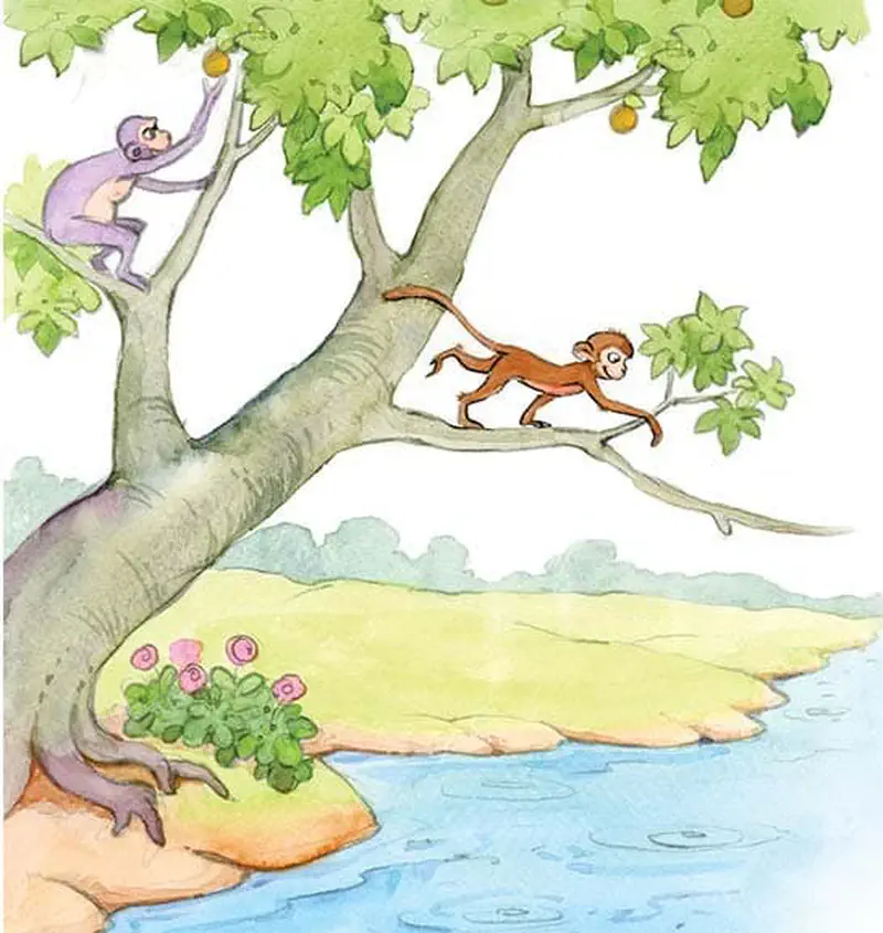 Two monkeys in a fruit tree by a river, the purple one climbs while Dan runs along a branch toward the water.