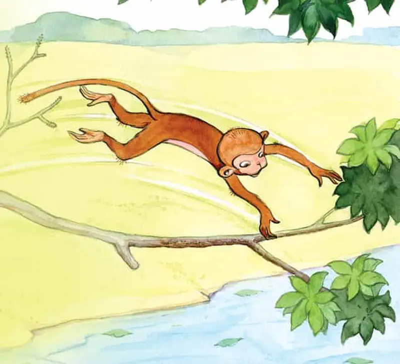 Dan lands on a tree branch over the river, catching himself with arms spread wide after his jump across.
