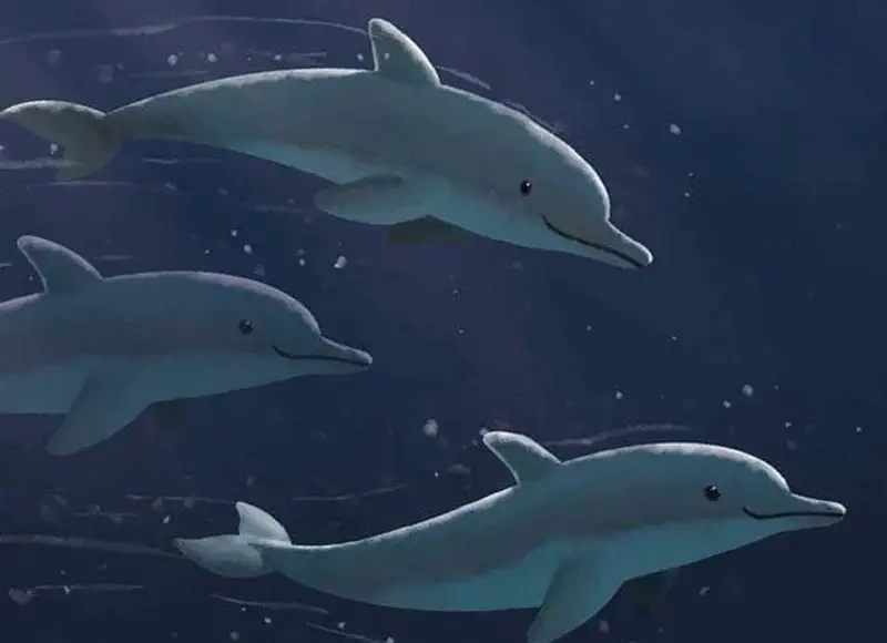 Three dolphins swimming together in dark blue deep ocean water with bubbles around them.