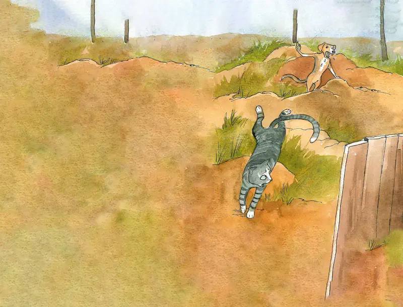 Gray cat walking through field while dog watches from hill behind fence posts