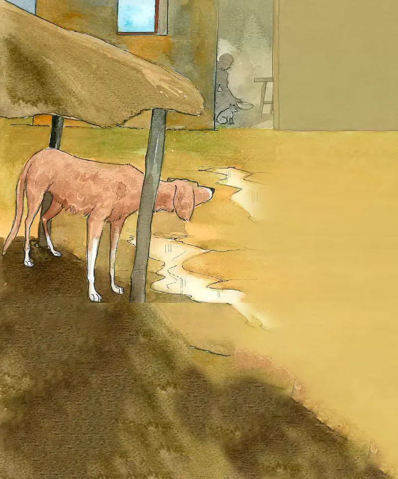 Brown dog standing under thatched roof watching cat in distance near puddle