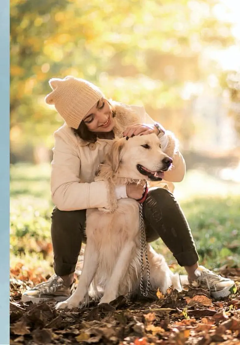 Woman hugging golden retriever in autumn park with fallen leaves