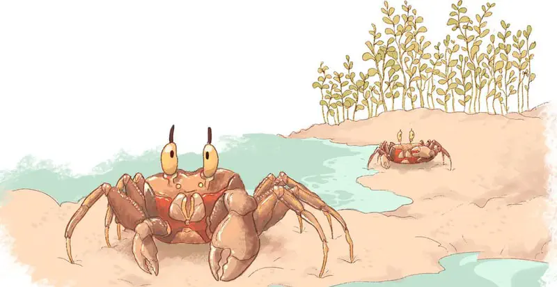 Large brown crab standing at water's edge on sandy beach with a smaller crab nearby and tall beach plants in the background.