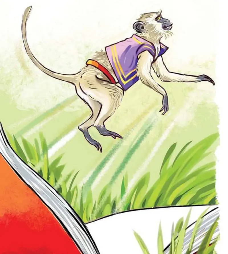 A monkey wearing a purple and gold silk vest leaps through the air with its tail curved behind it.