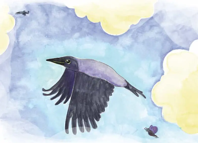 A dark crow soars through a blue and purple sky with yellow clouds, a tiny snail and distant bird visible nearby.