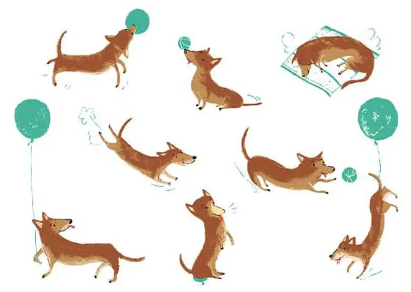 Multiple poses of a playful brown dog jumping, running, balancing a ball, sleeping on a mat, and chasing balloons.