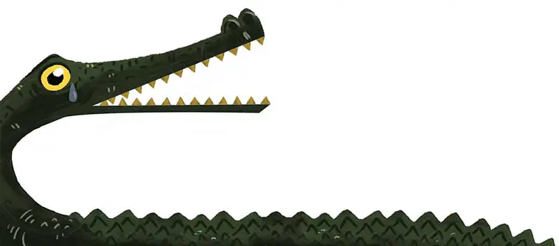 A large green crocodile with its mouth wide open showing sharp teeth, with a single tear drop coming from its yellow eye.