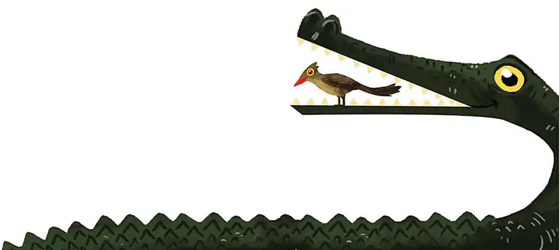 The small brown oxpecker bird stands bravely inside the crocodile's open mouth on its lower jaw, surrounded by pointed teeth.