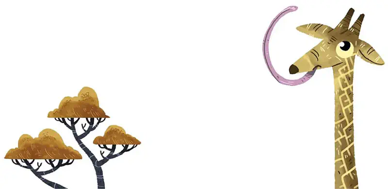 A tall giraffe sticks out its long purple tongue while African acacia trees stand in the background.