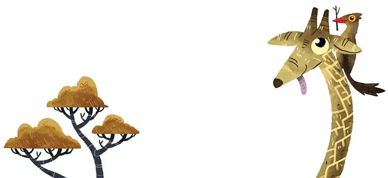 The brown oxpecker bird perches on the giraffe's head between its horns, while the giraffe sticks out its tongue, with acacia trees nearby.