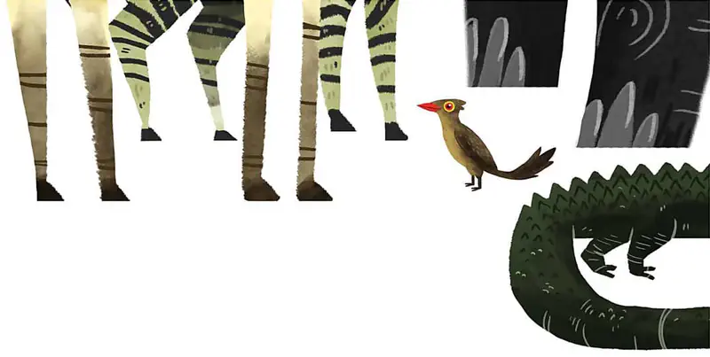 Close-up of zebra legs and a crocodile's scaly tail, with the small oxpecker bird standing between them near the rhino's legs.