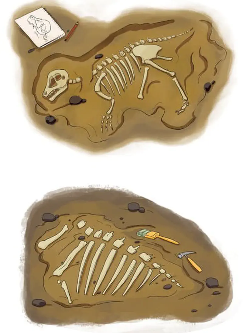Two dinosaur fossil skeletons being excavated from sandy ground, with a notebook sketch and digging tools visible nearby.