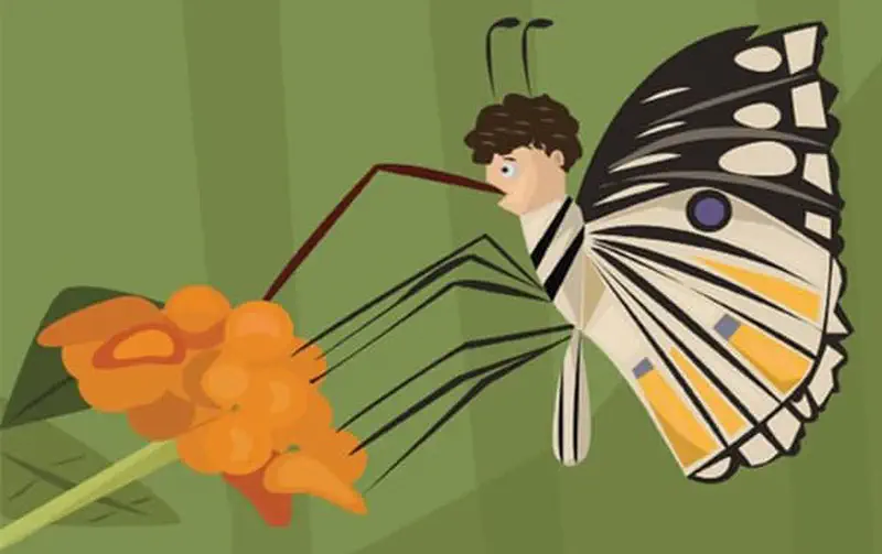 A boy with curly hair imagined as a butterfly with yellow, black and white wings, landing on an orange flower against a green background.