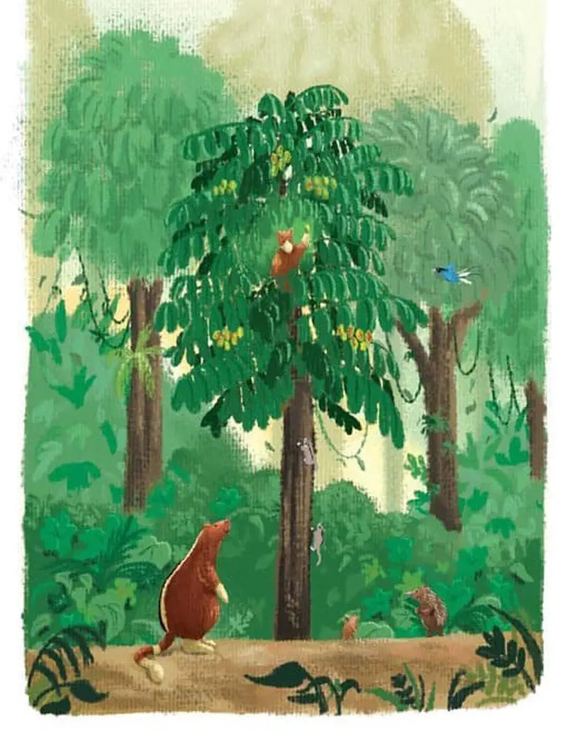 Tree kangaroo looks up at a tall tree in a lush green forest where a possum climbs high, with an echidna and blue bird nearby.