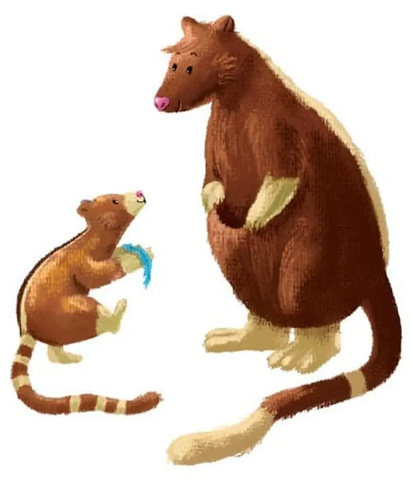 Joey tree kangaroo holds a blue feather while standing before mother tree kangaroo on a white background, both with cream-colored bellies.