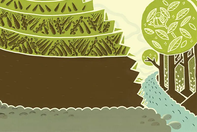 Terraced hillside with green vegetation meeting a forest of tall trees, with a stream flowing down to rocky shores below.