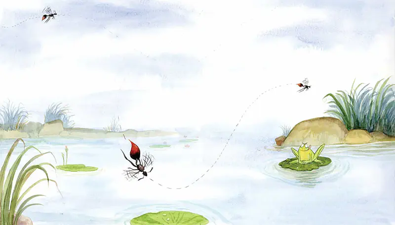 A peaceful pond scene with a frog meditating on a lily pad while ants fly around with lily pads and reeds in view.