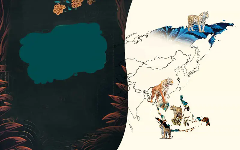 Map of Asia showing tiger subspecies in their native habitats, with illustrated tigers positioned across Russia, India, and Indonesia.
