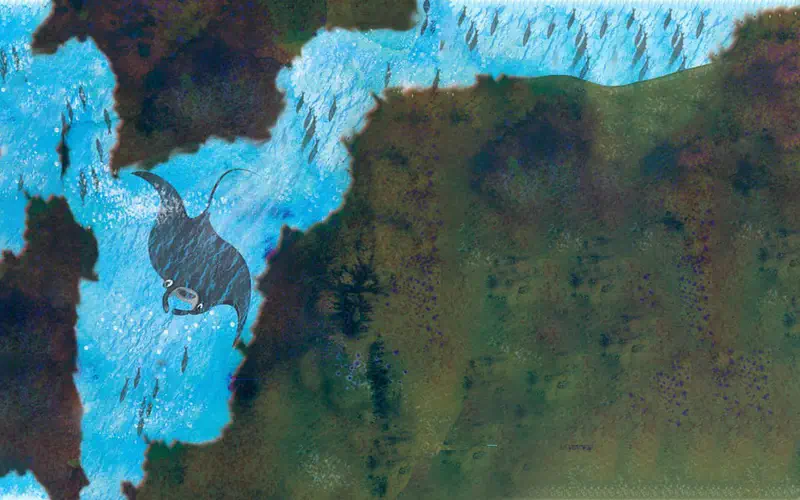 A manta ray swims near rocky underwater terrain with small fish scattered around. Blue water and dark brown rocks fill the scene.