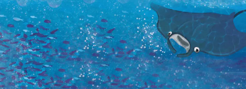 A happy manta ray swims underwater toward a school of small fish on the left. Bubbles float up in the bright blue water.