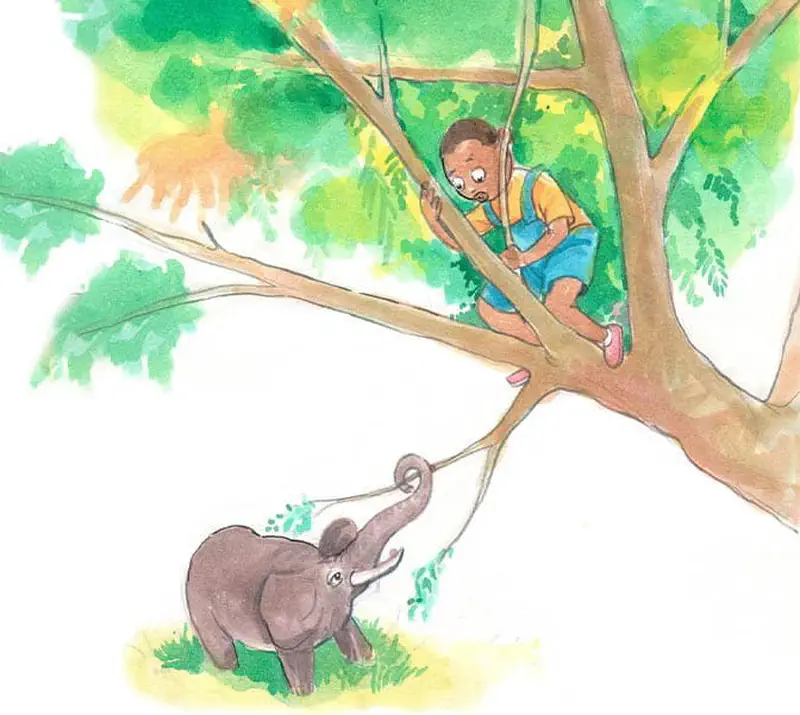 Boy in tree looking down at elephant spraying water from trunk in green landscape.