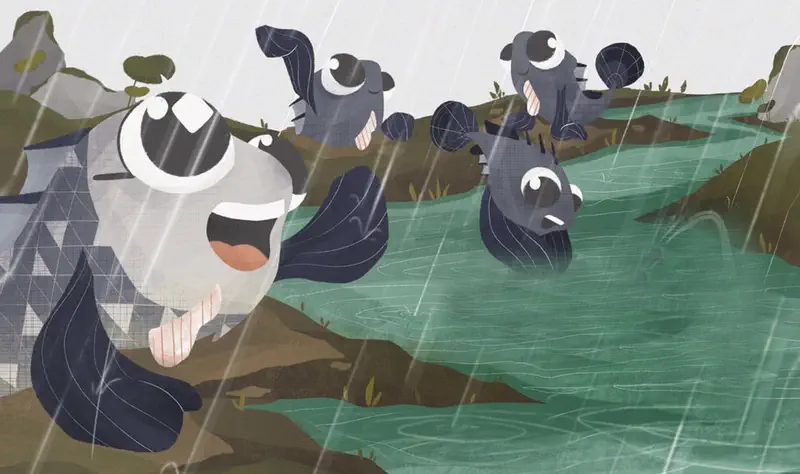 Small mudskipper fish alone in murky pond with lily pads and reeds, snail watching nearby.